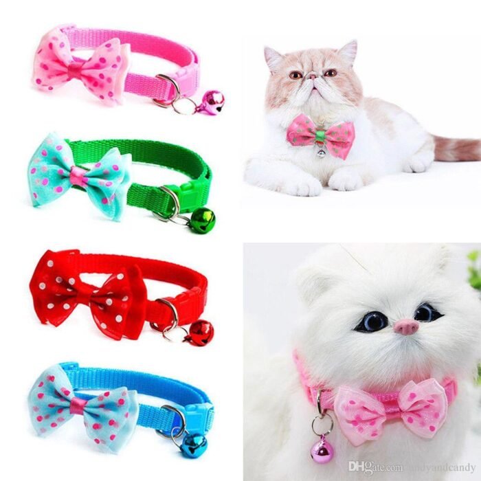 Cat Boo Fancy Collar