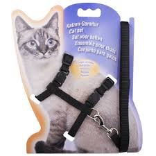 Cat Harness (Best Quality)